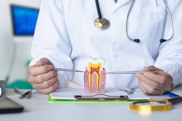 Best Tooth Infection Emergency Dentist  in Preston Heights, IL